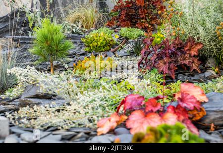 Sélection de différents arbustes colorés, fleurs et arbustes poussant dans le jardin de l'arrière-cour. Travaux de conception de paysage en cours. Banque D'Images