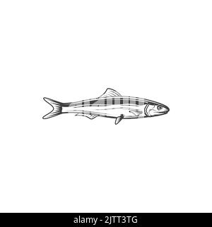 Harengs ou sardine poisson d'eau salée isolé animal icône monochrome. Vecteur pilchard fourrager gras petits poissons dans le hareng Clupeidae. Sardina, rouge marin Illustration de Vecteur