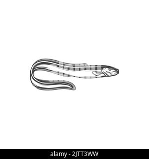 Icône monochrome isolée en forme d'anguille. Anguille électrique de mer Vector, animal marin sous-marin, serpent d'eau salée, mascotte de pêche de chevalier. Électroph Illustration de Vecteur