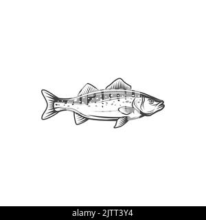 Morue d'eau douce isolé scumbridae poisson icône monochrome. Perche jaune vecteur, animal de lac de rivière. Mascotte pour le sport de pêche, poisson-thon d'eau salée main d Illustration de Vecteur