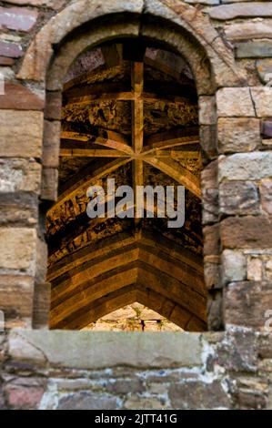 Côte vaulne sur les ruines de l'abbaye de Jerpoint à Thomastown, Irlande. Banque D'Images