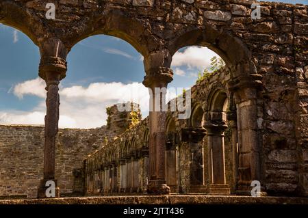 Arcade cloître à l'abbaye de Jerpoint à Thomastown, Irlande. Banque D'Images