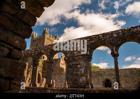 Arcade cloître à l'abbaye de Jerpoint à Thomastown, Irlande. Banque D'Images