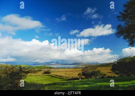 En regardant vers Kenmare Bay sur la péninsule de Beara près d'Ardgroom, Comté de Cork, Irlande - John Gollop Banque D'Images