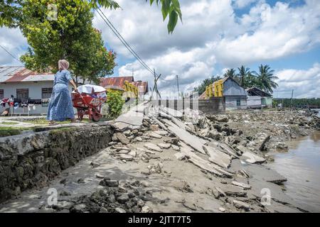 Konawe, Sulawesi du Sud-est, Indonésie. 1st septembre 2022. Un résident pousse une brouette le long d'une route qui a été coupée en raison de l'abrasion dans le village de Muara Sampara, Konawe. (Credit image: © Andry Denisah/SOPA Images via ZUMA Press Wire) Banque D'Images