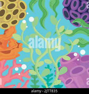 algaes et cadre d'algues Illustration de Vecteur