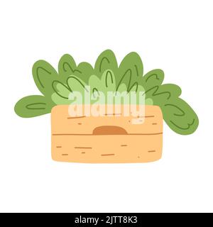 Caisse en bois avec herbes dans un dessin animé à la main de style plat. Illustration vectorielle des plantes dans la boîte Illustration de Vecteur