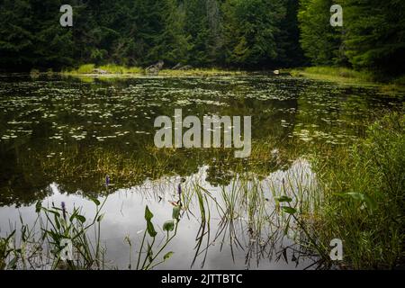 Lac Mayflower au parc provincial Arrowhead, au nord de Huntsville, Ontario, Canada Banque D'Images