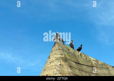 Cadair Idris sculpture / installation artistique. Baie de Cardiff 2022 . Installation de Cader Idris par William Pye. (Cadair Idris) Banque D'Images