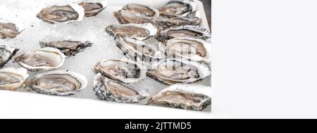 Huître fraîche riche en protéines sur glace pilée au restaurant ou au marché de fruits de mer. Mise au point sélective. Une alimentation saine et gourmande en minéraux. Aphrodis naturels Banque D'Images