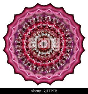 Motif concentrique Kaléidoscope - motif abstrait d'inspiration florale Banque D'Images