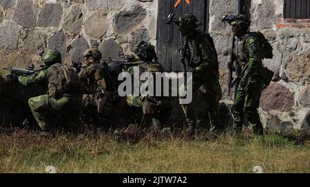 Les Marines des États-Unis affectés à l'équipe de débarquement du bataillon 2/6, 22nd Marine Expeditionary Unit (MEU), et les soldats suédois affectés à 5th Company, South Scania Regiment P7, détiennent des forces de sécurité lors d'un exercice de raid à Ravlunda, en Suède, le 28 août 2022. Le Kearsarge Amphiobie Ready Group et 22nd MEU, sous le commandement et le contrôle de Task Force 61/2, sont en cours de déploiement prévu dans la zone d'opérations de la marine américaine Europe, employée par la flotte américaine Sixth pour défendre les intérêts américains, alliés et partenaires. (É.-U. Photo du corps marin par le sergent d'état-major. Marcela Diazdeleon) Banque D'Images