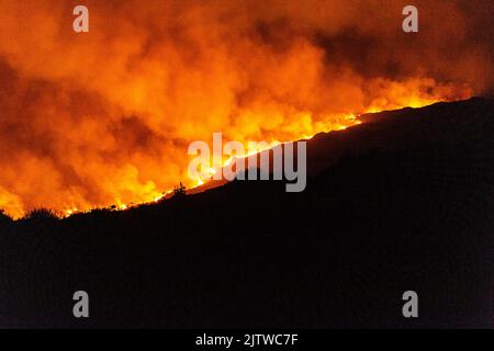 Boleagh, West Cork, Irlande. 1st septembre 2022. Un grand feu de gorge s'est empare de la campagne jeudi soir à Boleagh, entre Ballydehob et Bantry, dans l'ouest de Cork. Le front d'incendie était de quelques kilomètres de large et les pompiers de Schull et Bantry ont été chargés de combattre le feu. On ne sait pas comment l'incendie a commencé. Crédit : AG News/Alay Live News Banque D'Images