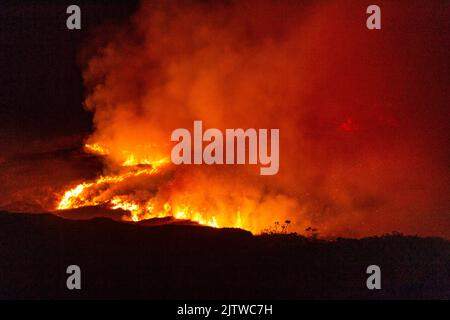 Boleagh, West Cork, Irlande. 1st septembre 2022. Un grand feu de gorge s'est empare de la campagne jeudi soir à Boleagh, entre Ballydehob et Bantry, dans l'ouest de Cork. Le front d'incendie était de quelques kilomètres de large et les pompiers de Schull et Bantry ont été chargés de combattre le feu. On ne sait pas comment l'incendie a commencé. Crédit : AG News/Alay Live News Banque D'Images