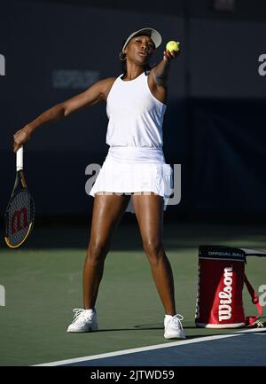 Queens, NY, États-Unis. 01st septembre 2022. **PAS de journaux NY** venus Williams est vu sur le terrain d'entraînement pendant l'US Open 2022 au Centre national de tennis de l'USTA Billie Jean King sur 1 septembre 2022 à Flushing, dans le Queens. Crédit : Mpi04/Media Punch/Alamy Live News Banque D'Images