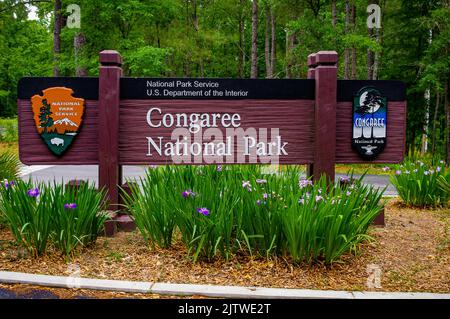 Le parc national de Congaree, en Caroline du Sud, est la plus grande zone contiguë de feuillus de l'ancienne zone d'embouteillage aux États-Unis Banque D'Images