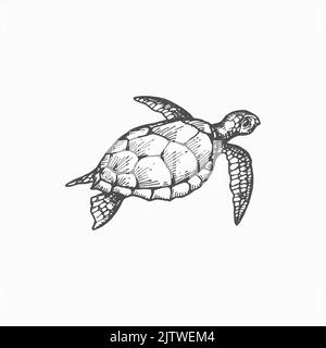 Tortue de mer en similicuir isolée marine animal sous-marin icône d'esquisse monochrome. La tortue luth ou la tortue luth de la faune aquatique Vector. Luth, la plus grande de toutes les tortues vivantes, créature tribale à tête de fée Illustration de Vecteur