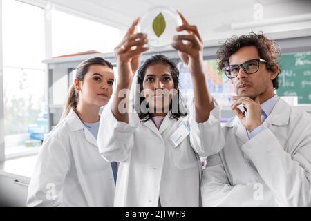 groupe de scientifiques avec leaf en laboratoire Banque D'Images