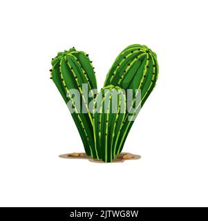 Trois cactus de dessin animé qui poussent en pierres et en sable ont isolé le cactus succulent. Cactus du désert vectoriel exotique mexicain ou plante de la jungle, épines nettes, opuntia épineux, fleur sauvage du désert, décoration de la jungle Illustration de Vecteur