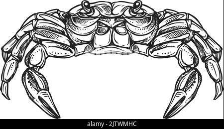 Crabe royal espèce marine isolée Cheiragonidae. Fruits de mer crus ou frais Vector, mascotte de pêche sportive, aliments comestibles exotiques. Icône monochrome des crustacés sous-marins à décapodes de Brachyura infraorder Illustration de Vecteur