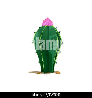 Ferocactus gros cactus scandinaves indiens succulents en forme de tonneau isolé Cactus botanique tropical occidental d'opuntia avec fleur rose sur le dessus. Cactus vectoriels avec de grandes épines cultivées en dessert mexicain Illustration de Vecteur