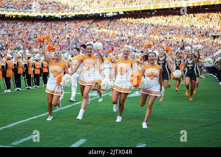 1 septembre 2022: Les meneurs de gaieté des bénévoles du Tennessee prennent le terrain avant le match de football de la NCAA entre les volontaires de l'Université du Tennessee et les cardinaux de l'État de ball au stade Neyland à Knoxville TN Tim Gangloff/CSM Banque D'Images