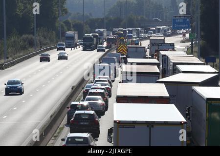 L'illustration montre l'encombrement de la circulation avec beaucoup de camions et de voitures après un accident avec un camion à la sortie de Drongen de l'autoroute E40, à Drongen, vendredi 02 septembre 2022. La route est bloquée en direction de la Côte et les services s'attendent à ce que le dégagement de la route puisse prendre beaucoup de temps. BELGA PHOTO NICOLAS MATERLINCK Banque D'Images