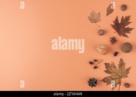 Arrière-plan monochrome d'automne composé de feuilles sèches, fleurs, glands, noix sur fond orange. Pose à plat. Vue de dessus avec espace de copie Banque D'Images