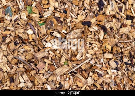 Les copeaux de bois d'œuvre sombre humides avec le feuillage se répartissent uniformément en arrière-plan Banque D'Images