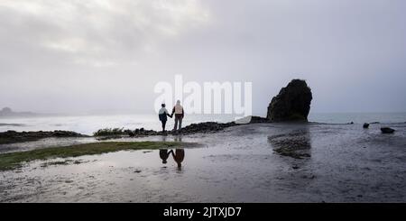 Couple tenant la main, debout sur la falaise de la plage St clair et regardant la mer, Dunedin. Banque D'Images