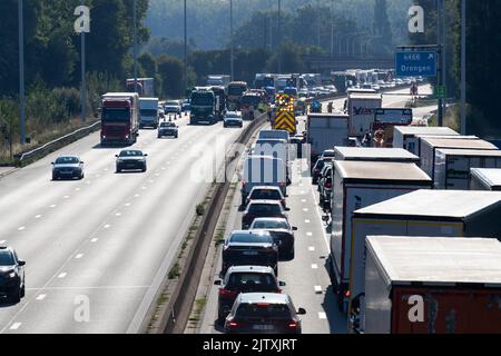 Drongen, Belgique. 02nd septembre 2022. L'illustration montre l'encombrement de la circulation avec beaucoup de camions et de voitures après un accident avec un camion à la sortie de Drongen de l'autoroute E40, à Drongen, vendredi 02 septembre 2022. La route est bloquée en direction de la Côte et les services s'attendent à ce que le dégagement de la route puisse prendre beaucoup de temps. BELGA PHOTO NICOLAS MATERLINCK crédit: Belga News Agency/Alay Live News Banque D'Images