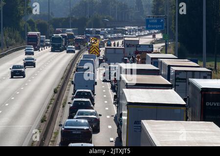 Drongen, Belgique. 02nd septembre 2022. L'illustration montre l'encombrement de la circulation avec beaucoup de camions et de voitures après un accident avec un camion à la sortie de Drongen de l'autoroute E40, à Drongen, vendredi 02 septembre 2022. La route est bloquée en direction de la Côte et les services s'attendent à ce que le dégagement de la route puisse prendre beaucoup de temps. BELGA PHOTO NICOLAS MATERLINCK crédit: Belga News Agency/Alay Live News Banque D'Images