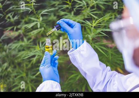 Pipette à main avec de l'huile de cannabis contre la plante de cannabis, de l'huile de chanvre CBD, concept médical d'huile de marijuana Banque D'Images