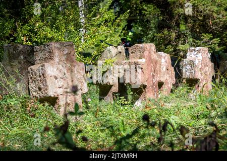 Les pierres tombales très anciennes en grès rouge surcultivées avec de l'herbe et des mauvaises herbes se trouvent en rangée Banque D'Images