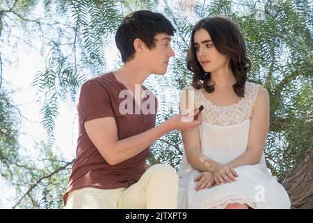 À l'année Bone : 2017 USA Directeur : Marti Noxon Alex Sharp, Lily Collins Banque D'Images