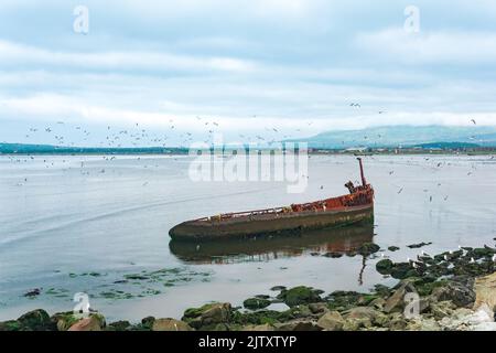 paysage côtier avec une épave rouillée en premier plan et une baie de mer avec des mouettes en arrière-plan Banque D'Images