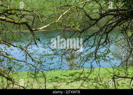 Réservoir Clatworthy au printemps sur les pentes sud des collines de Brendon, Somerset, Angleterre. Banque D'Images