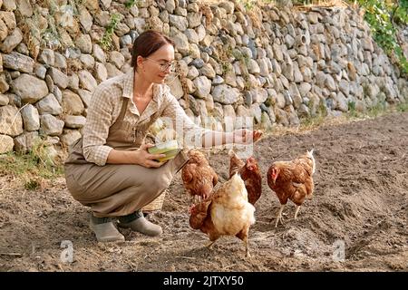 Femme nourrissant des poules de la main dans la ferme. Poule domestique sans pâturage dans une ferme biologique traditionnelle de volaille en liberté. Poulet adulte marchant sur le soi Banque D'Images