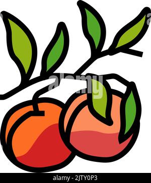 illustration vectorielle d'icône de couleur de nectarine de branche de plante Illustration de Vecteur