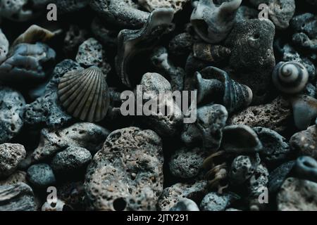 Belle couleur noire pierres de mer et coquillages abstrait motif texture nature fond concept, vacances d'été naturel fond concept. Banque D'Images