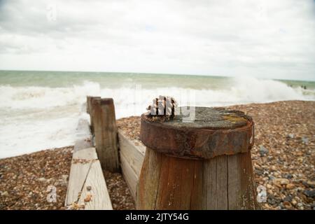 Littlehampton Beach Banque D'Images