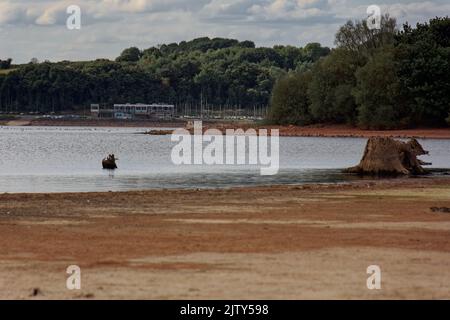 Chew Valley sécheresse 2022 vague de chaleur Banque D'Images