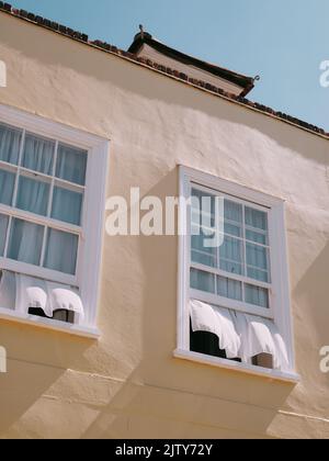 Fenêtres à guillotine ouvertes avec des rideaux de filet soufflant dans le vent - fenêtre d'été ventilation maison air frais - nettoyage de printemps - air frais - fenêtre ouverte Banque D'Images