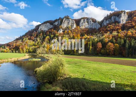 Vue sur le danube jusqu'au Zinnen hausener en automne, Parc naturel du Haut-Danube, Alb souabe, Bade-Wurtemberg, Allemagne Banque D'Images