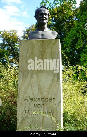 Buste d'Alexander von Humboldt, Brandebourg et Havel, Allemagne Banque D'Images