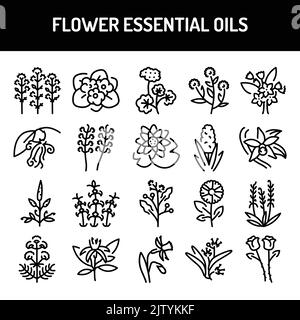 Ensemble d'icônes de couleur pour les huiles essentielles de fleur. Pictogramme pour page Web, application mobile, Promo Illustration de Vecteur