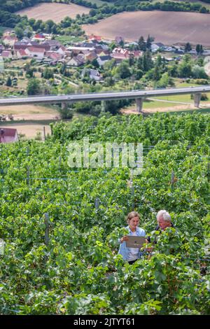 02 septembre 2022, SaxeAnhalt, Freyburg Chef de la garde des