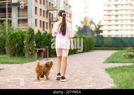 Une petite fille avec un adorable maltais et coolé mélange chien de chiot ou de mastipoo Banque D'Images