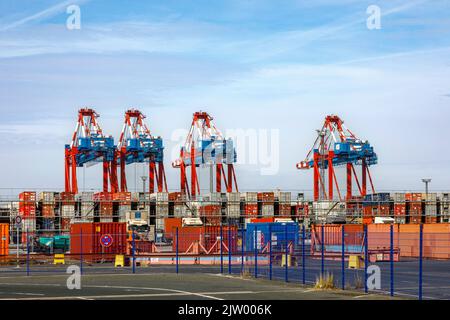 Entrée et sortie pour les camions à la zone douanière, Eurogate Bremerhaven Banque D'Images