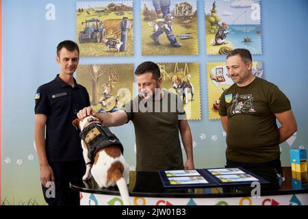 Irpin, Ukraine. 01st septembre 2022. Le président ukrainien Volodymyr Zelenskyy, au centre, accueille Patron le chien qui se renifle de bombe, est parti, lors d'une cérémonie de remise d'un timbre de collectionneurs dans l'honneur des chiens à l'école secondaire A. S. Makarenko, 1 septembre 2022 à Irpin, en Ukraine. En partant de la gauche : Mykhailo Iliev et son chien patron, le président ukrainien Volodymyr Zelenskyy et le directeur d'Ukrposhta Ihor Smilianski. Credit: Sarsenov Daniiar/Présidence ukrainienne/Alamy Live News Banque D'Images